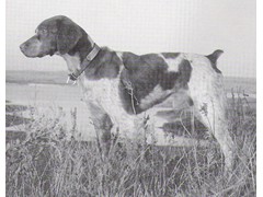 Blaze Dakota Trucker
2001 CH, 2003 RU