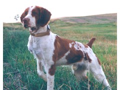 Make My Day Dude
2004 CH