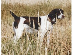 Suka's Win Mini
2004 RU