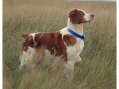 Tequila With A Twist
2008 RU